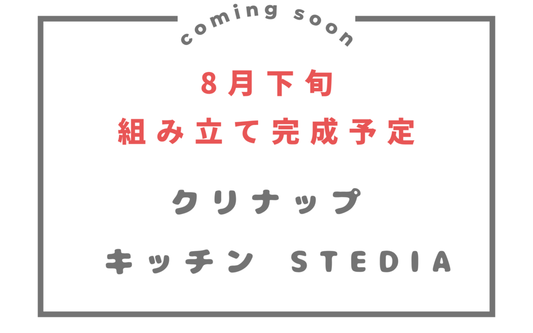 No.111・クリナップ・STEDIA ・ｿﾅﾀｳｯﾄﾞﾁｪﾘｰ・ｷｯﾁﾝ収納