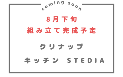 No.111・クリナップ・STEDIA ・ｿﾅﾀｳｯﾄﾞﾁｪﾘｰ・ｷｯﾁﾝ収納